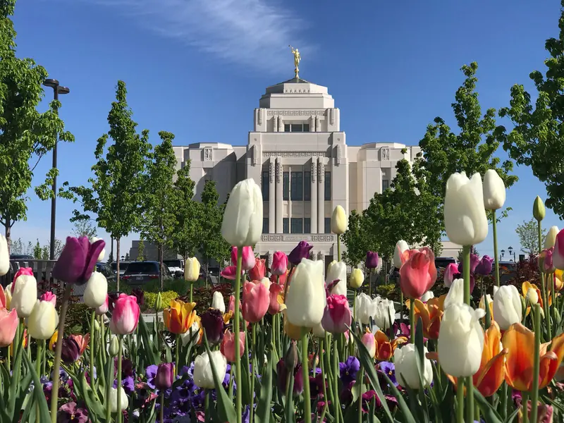 Meridian Idaho Temple with spring tulips